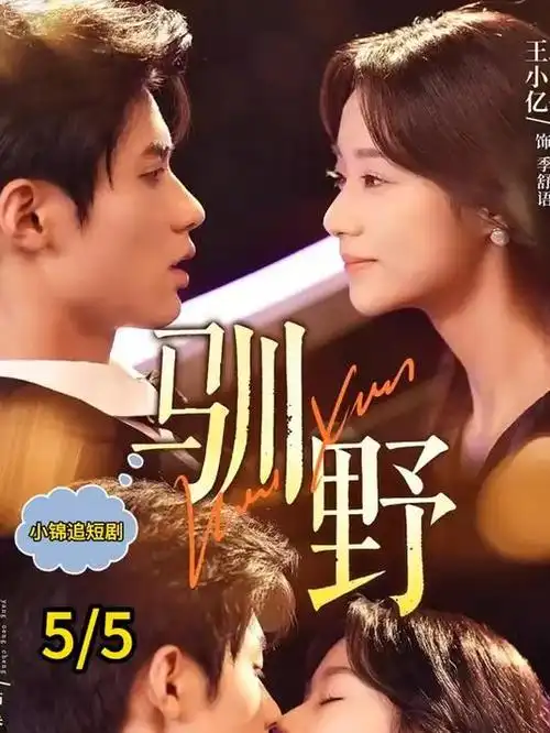 无证之港悬疑刑侦剧手机免费观看